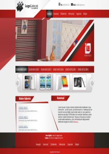 Firma Web Tasarım - Firma Sitesi - Firma Web Tasarımı